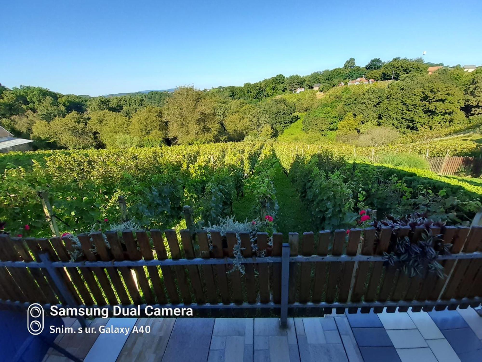 Kuca Za Odmor Vinica Breg Villa